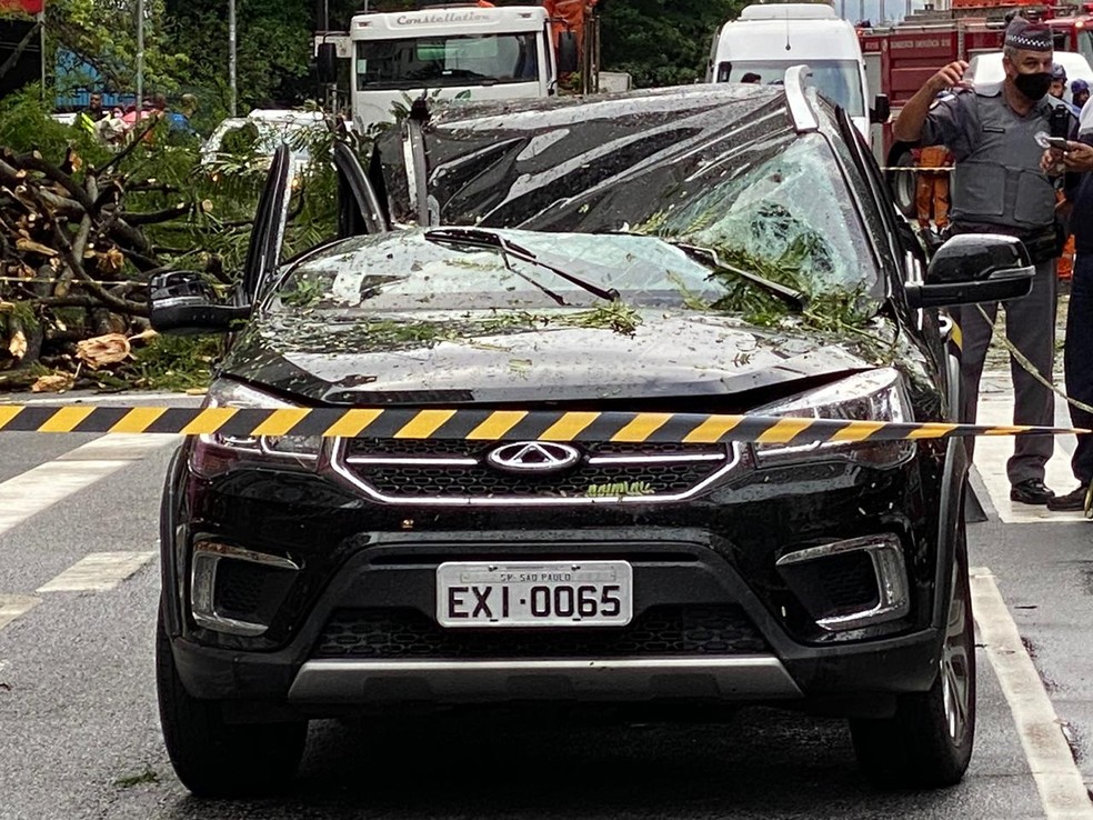 Carro danificado durante queda de árvore na Avenida Paulista nesta quinta-feira (19).  — Foto: Abraão Cruz/TV Globo 