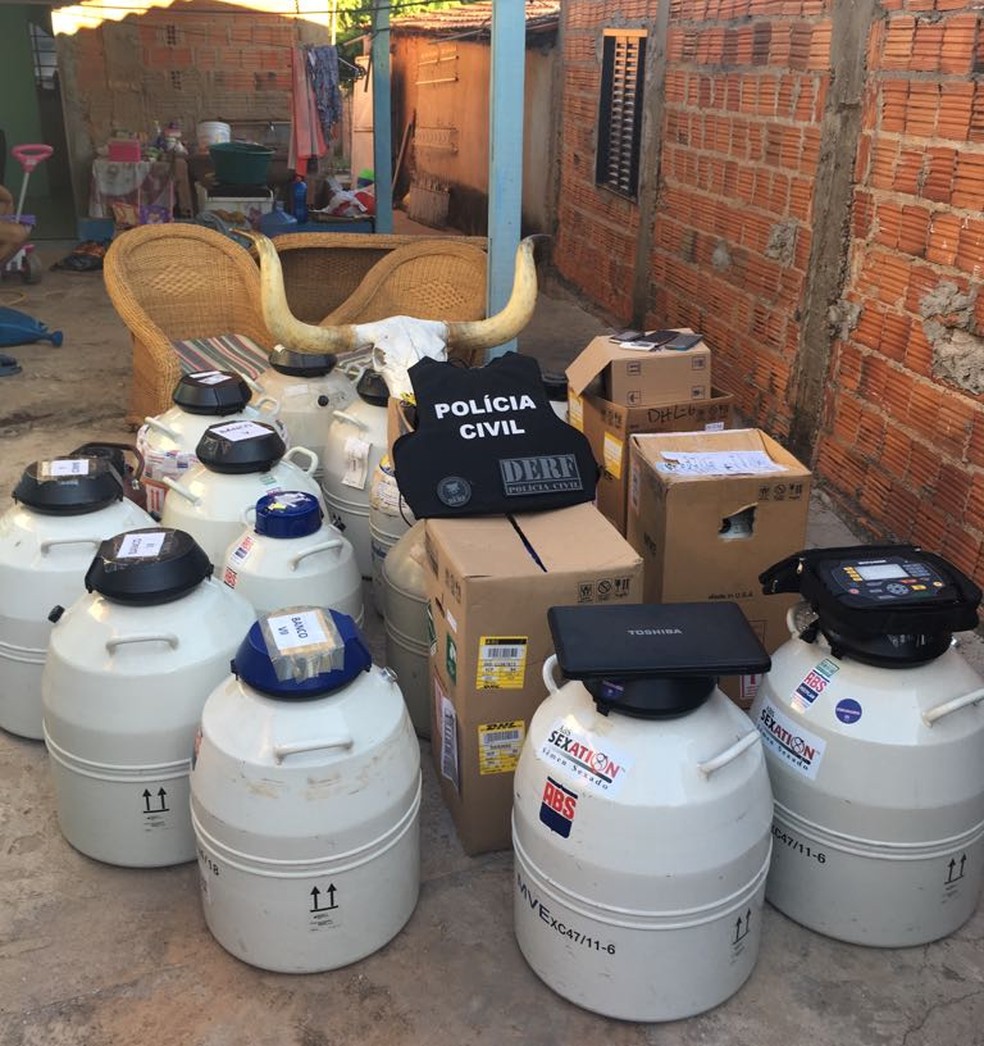 O material estava armazenado em uma casa no Bairro Santa Isabel, em Cuiabá (Foto: Polícia Civil de MT)