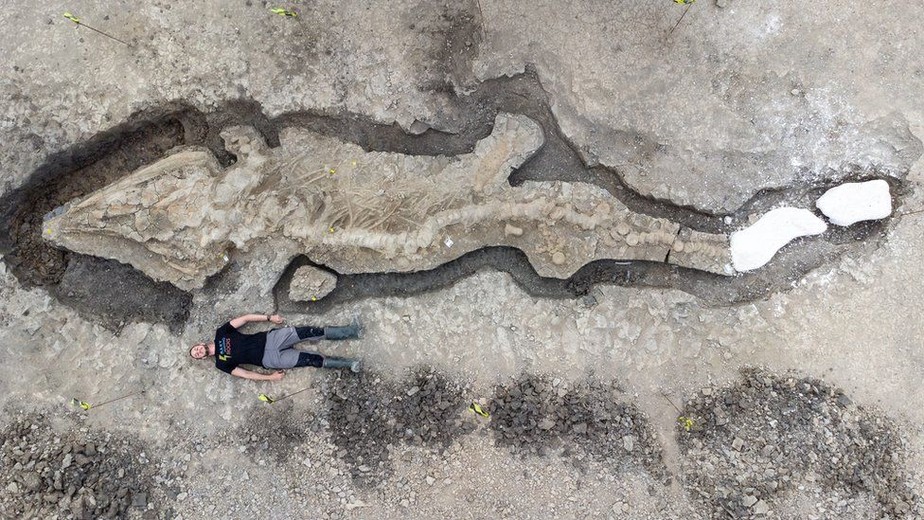 Maior fóssil de ictiossauro da Inglaterra é descoberto por acaso a 50 km da costa | Biodiversidade | Um só Planeta