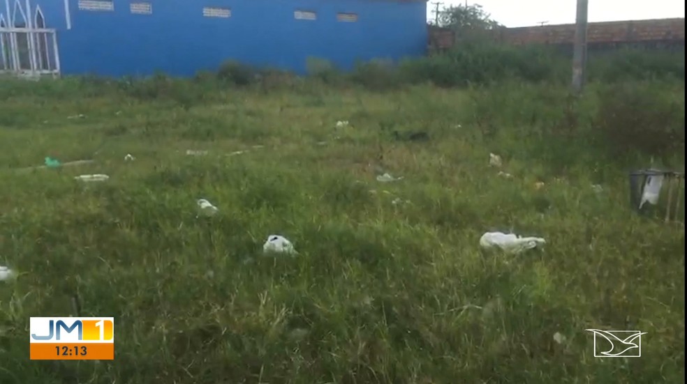 Na zona rural de São Luís, lixo é jogado de forma irregular e se torna criadouro do mosquito Aedes aegypti. — Foto: Reprodução/TV Mirante