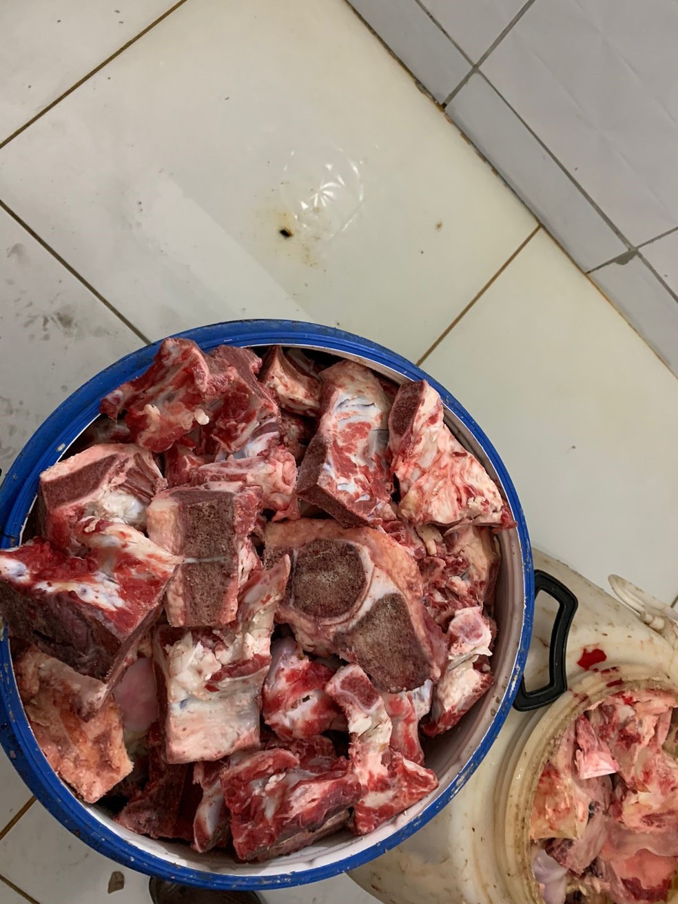 Baldes de carnes impróprias para consumo foram encontrados em pontos comerciais na parte alta de Maceió — Foto: Vigilância Sanitária