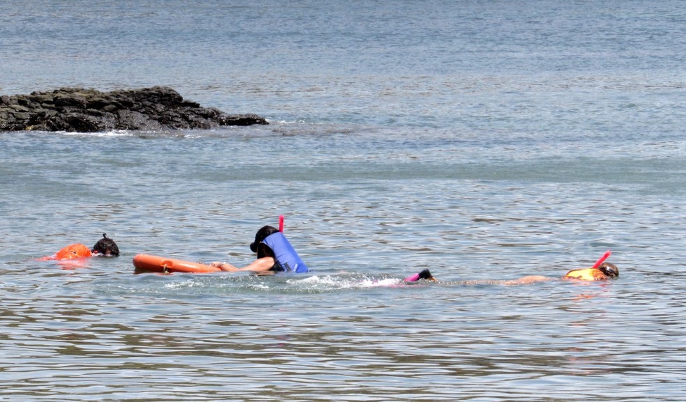 O mergulho em apneia é feito diariamente por turistas na ilha — Foto: Ana Clara Marinho/TV Globo