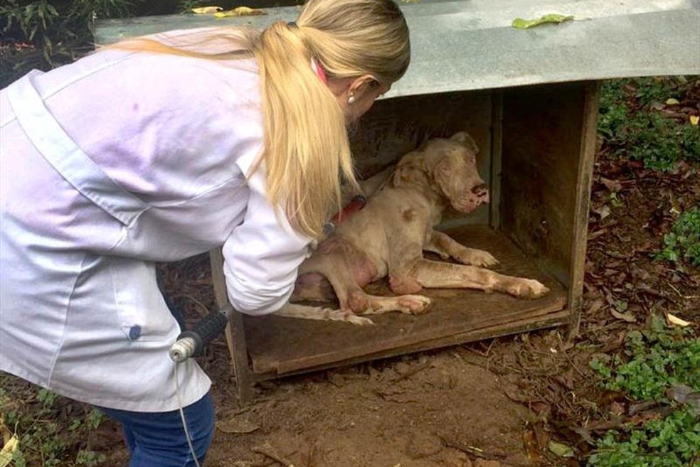 São três módulos do curso com duração de três meses e início na segunda quinzena de março — Foto: Divulgação/Prefeitura de Curitiba