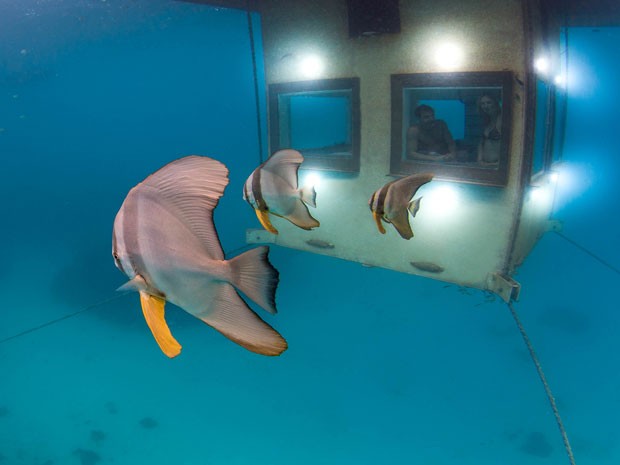 Casal observa fauna marinha na parte subaquática do quarto (Foto: Jesper Anhede/Genberg Art UW Ltd/Divulgação)