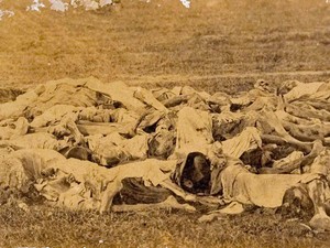 Corpos de paraguaios mortos durante a guerra empilhados no campo, em imagem de 1866 (Foto: Fundação Biblioteca Nacional)