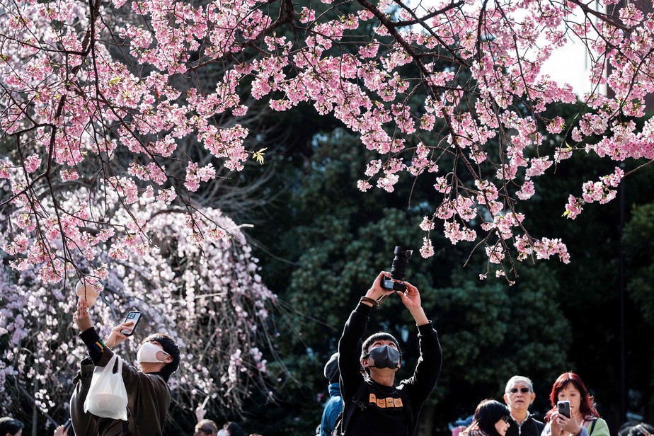 Visitantes tiram fotos no Parque Ueno, em Tóquio, Japão, diante das primeiras flores de cerejeira em 14 de março de 2023