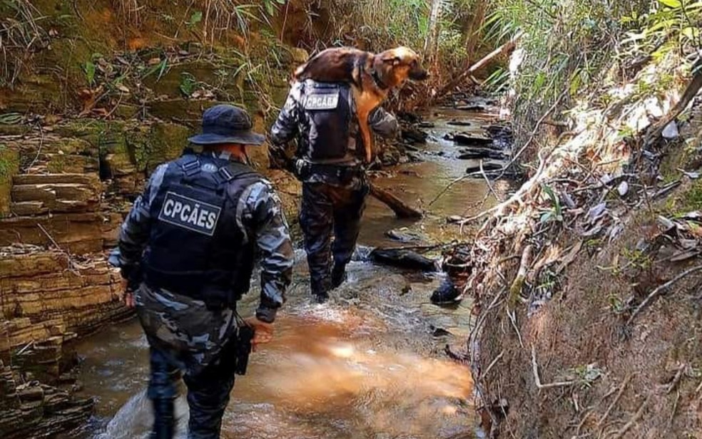 Pastor alemão Sauke é carregado no ombro por PM após se ferir em rio de Cocalzinho de Goiás — Foto: Reprodução/Polícia Militar de Goiás