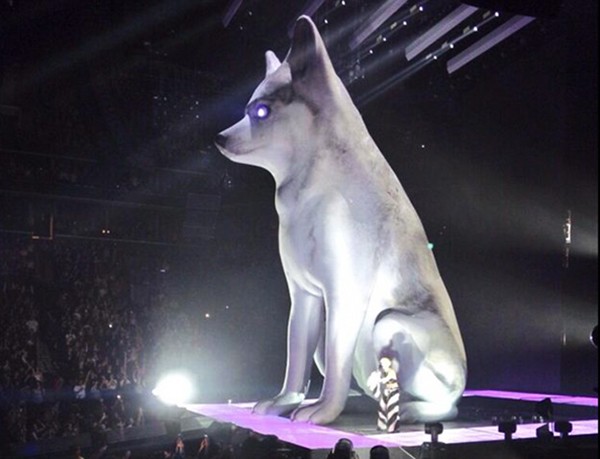 Miley Cyrus com réplica do cachorro Floyd no palco em show em abril de 2014 (Foto: Reprodução / Tumblr)