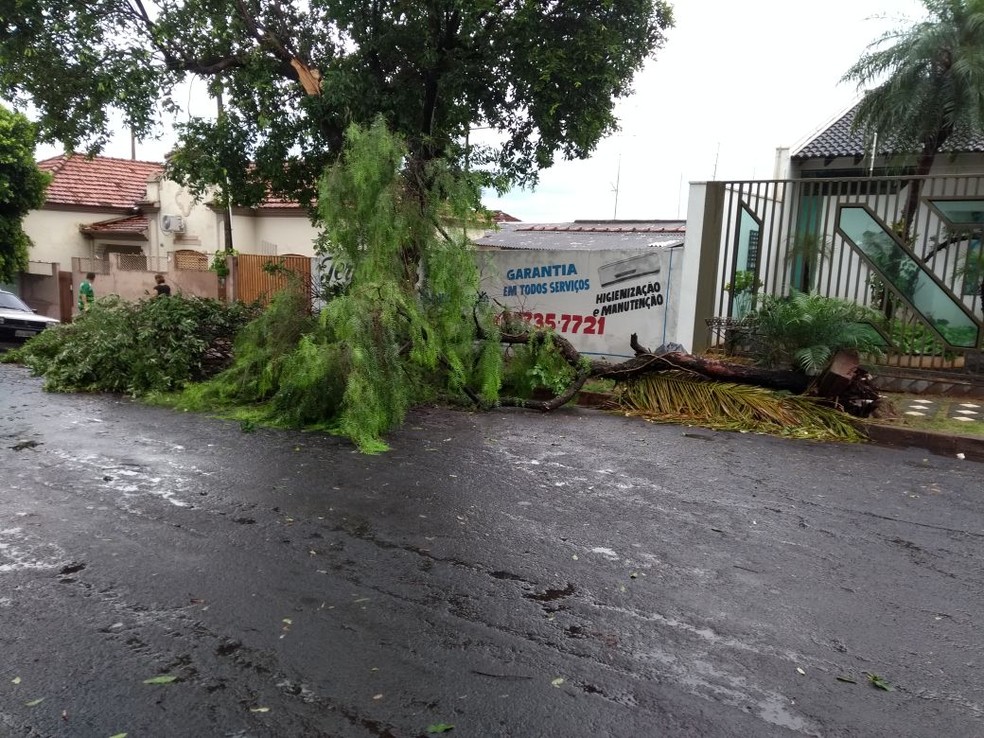 Temporal provocou estragos em Dracena (Foto: Jorge Zanoni/Cedida)