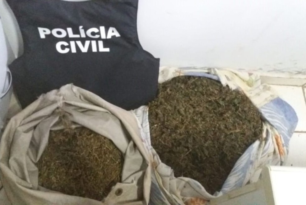 Drogas estavam em casa do casal no Maranhão — Foto: Divulgação/Polícia Civil