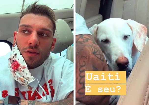 Lucas Lucco pausa quarentena pra resgatar cão abandonado ou perdido (Foto: Reprodução/Instagram)