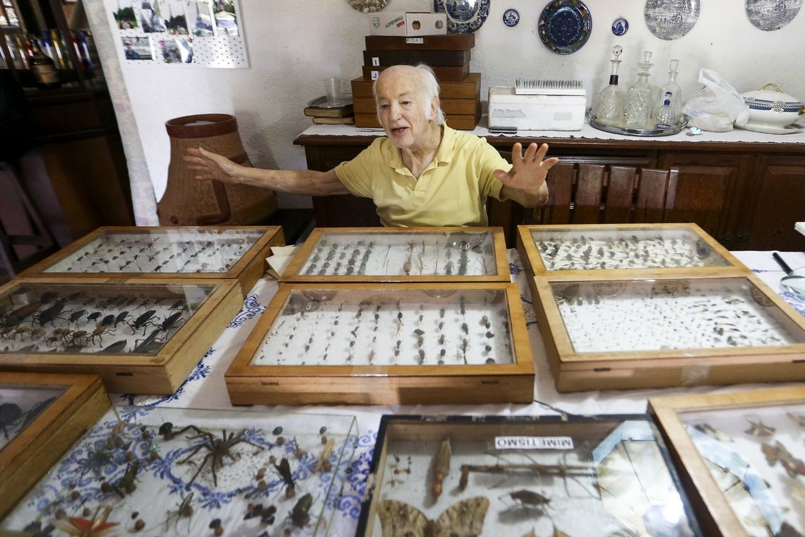 colecionador insetos (Foto: Marcelo Camargo/Agência Brasil)