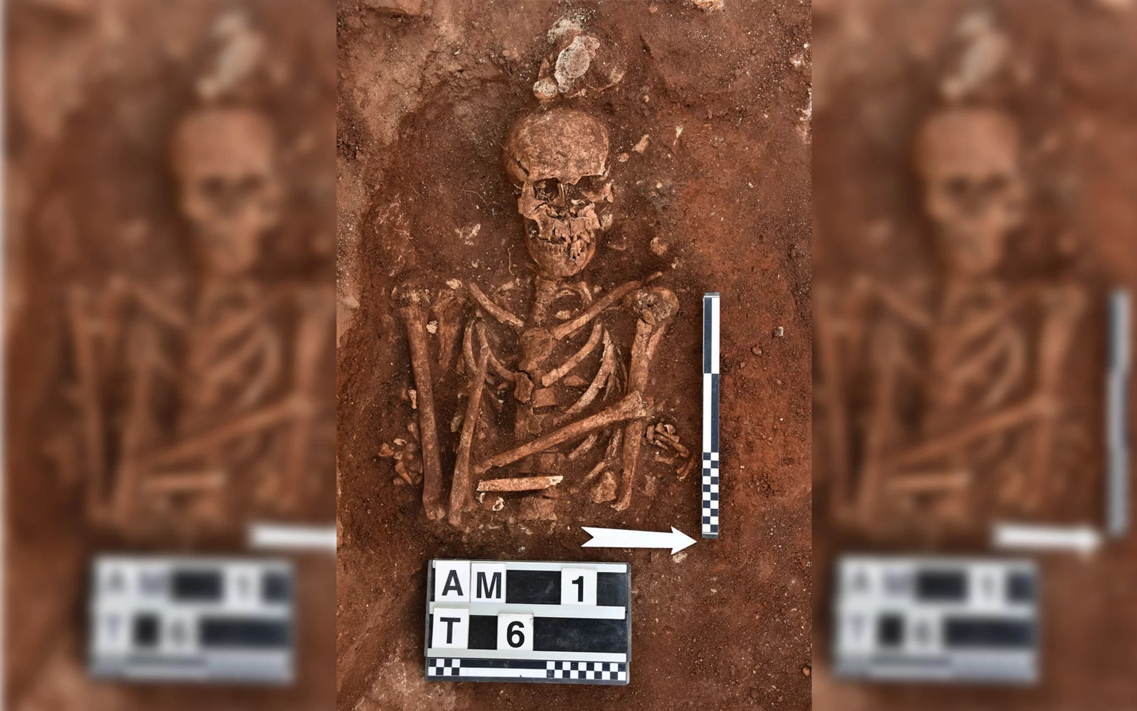 Esqueletos encontrados na Sicília (Foto: Sławomir Moździoch/Polish Academy of Sciences)