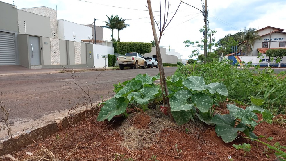 O médico foi esfaqueado quando saiu para mostrar a plantação de abóbora em frente de casa. A base da PM fica na esquina. — Foto: Divulgação