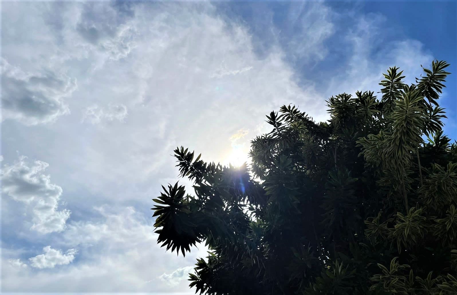Última semana de março deve ser de calor e pancadas de chuva na Zona da Mata e Vertentes
