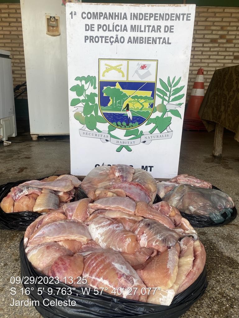 Pescadores são multados em R$ 17,9 mil por pesca predatória após polícia encontrar 79 kg de peixe escondidos em freezer de M