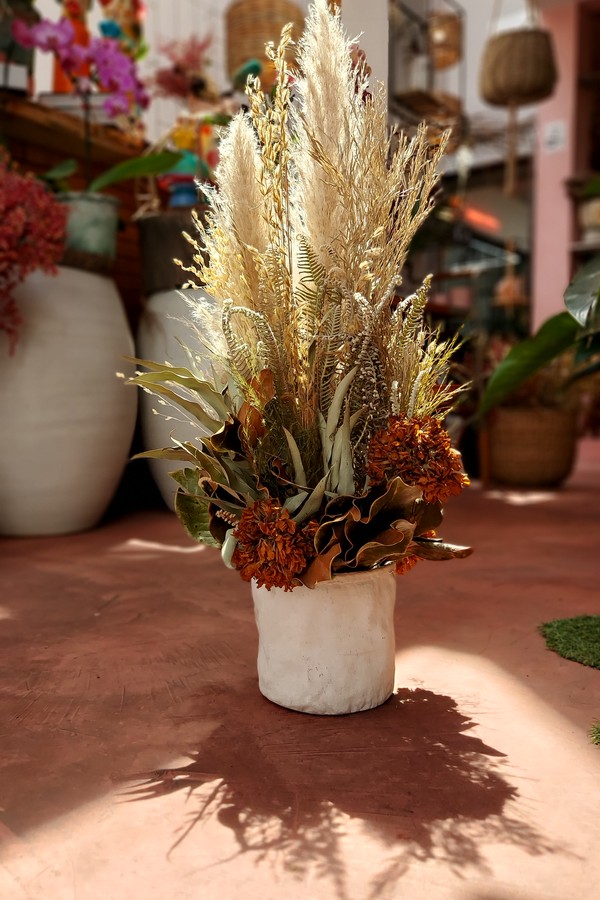 Plantas secas: veja como desidratar flores e folhas em casa  (Foto: Divulgação/Galeria Botânica)