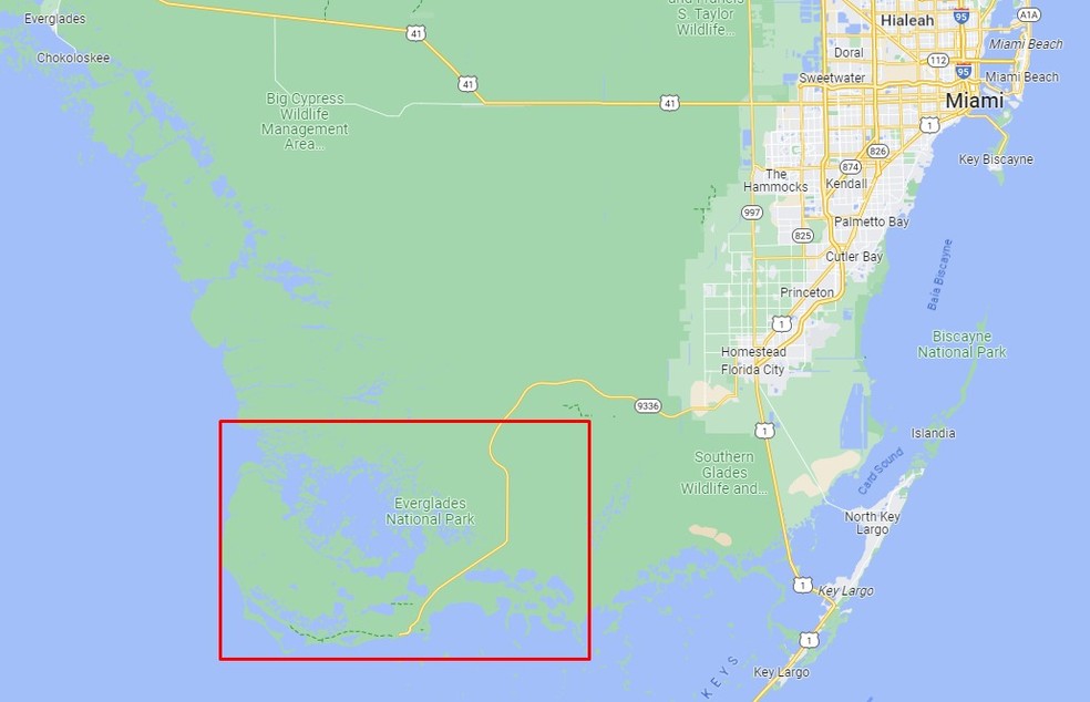 Local onde pescador foi atacado por tubarão e puxado para o pântano, nos EUA — Foto: Reprodução/Google Maps