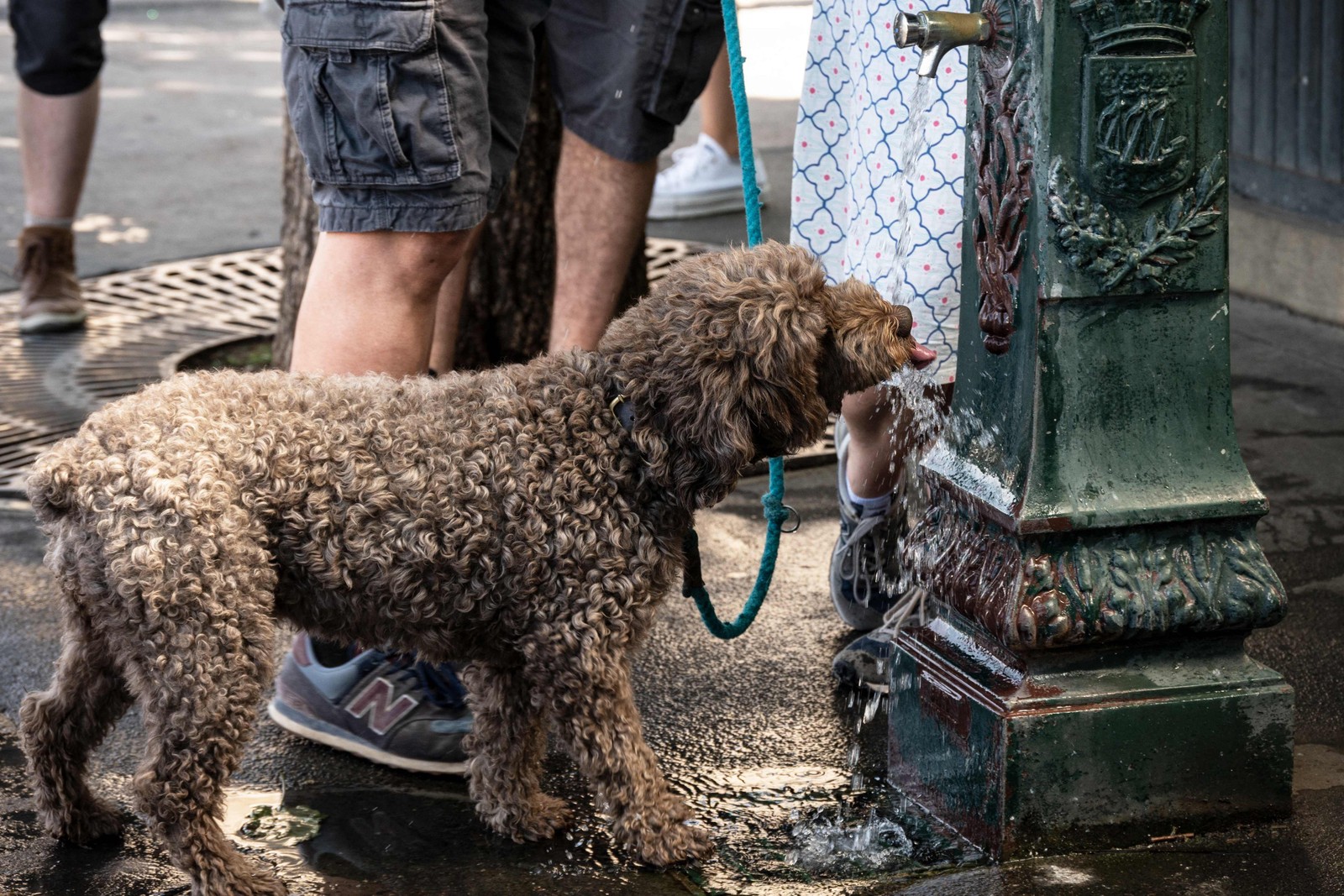 Cachorro bebe de uma fonte em Paris.Depois de Espanha e Portugal, a França está testemunhando uma segunda onda de calor em menos de um mês — Foto: BERTRAND GUAY / AFP