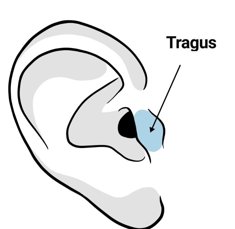 A região chamada de tragus fica bem na entrada da orelha e é um ponto onde o nervo vago fica mais superficial e acessível (Foto: UNINOVE via BBC News)