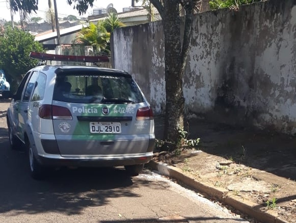 Polícia Ambiental ajudou no resgate e multou dono em R$ 90 mil em Marília — Foto: Arquivo pessoal/Fábio Protetor