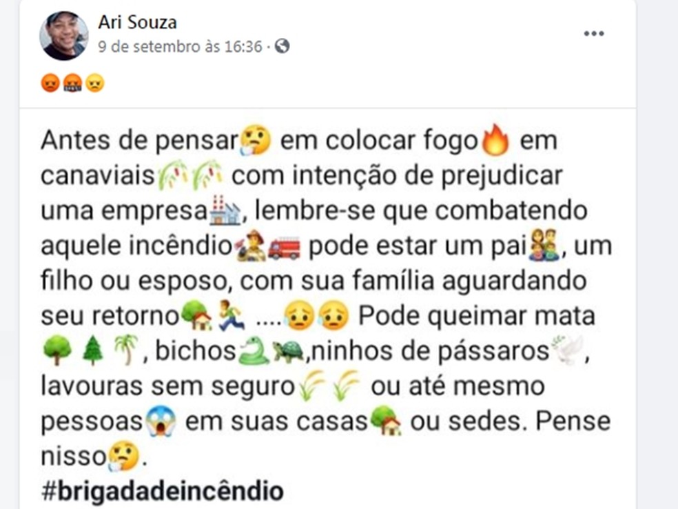 Postagem da vítima sobre queimadas em canavial — Foto: Reprodução