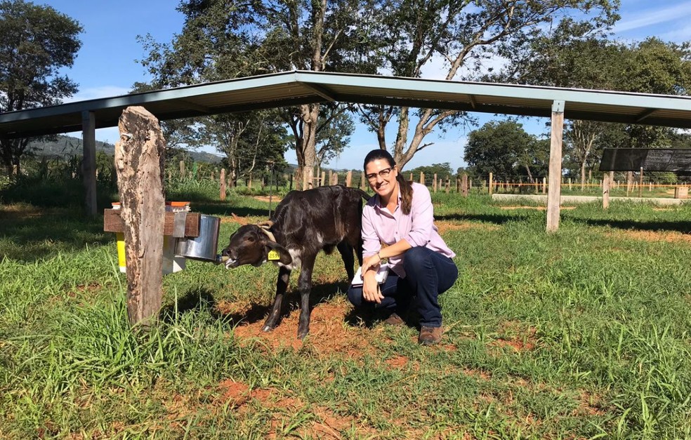 Dra. Lívia é pós-doutora na área de produção, comportamento e bem-estar de bovinos leiteiros. — Foto: Arquivo Pessoal