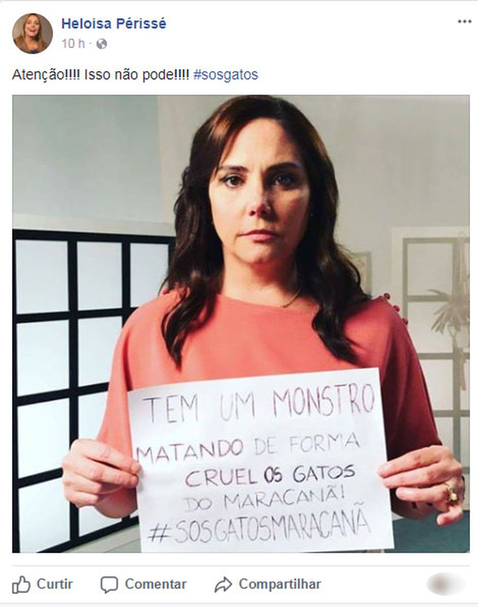 Heloísa Périssé  participa de campanha no Facebook (Foto: Reprodução)