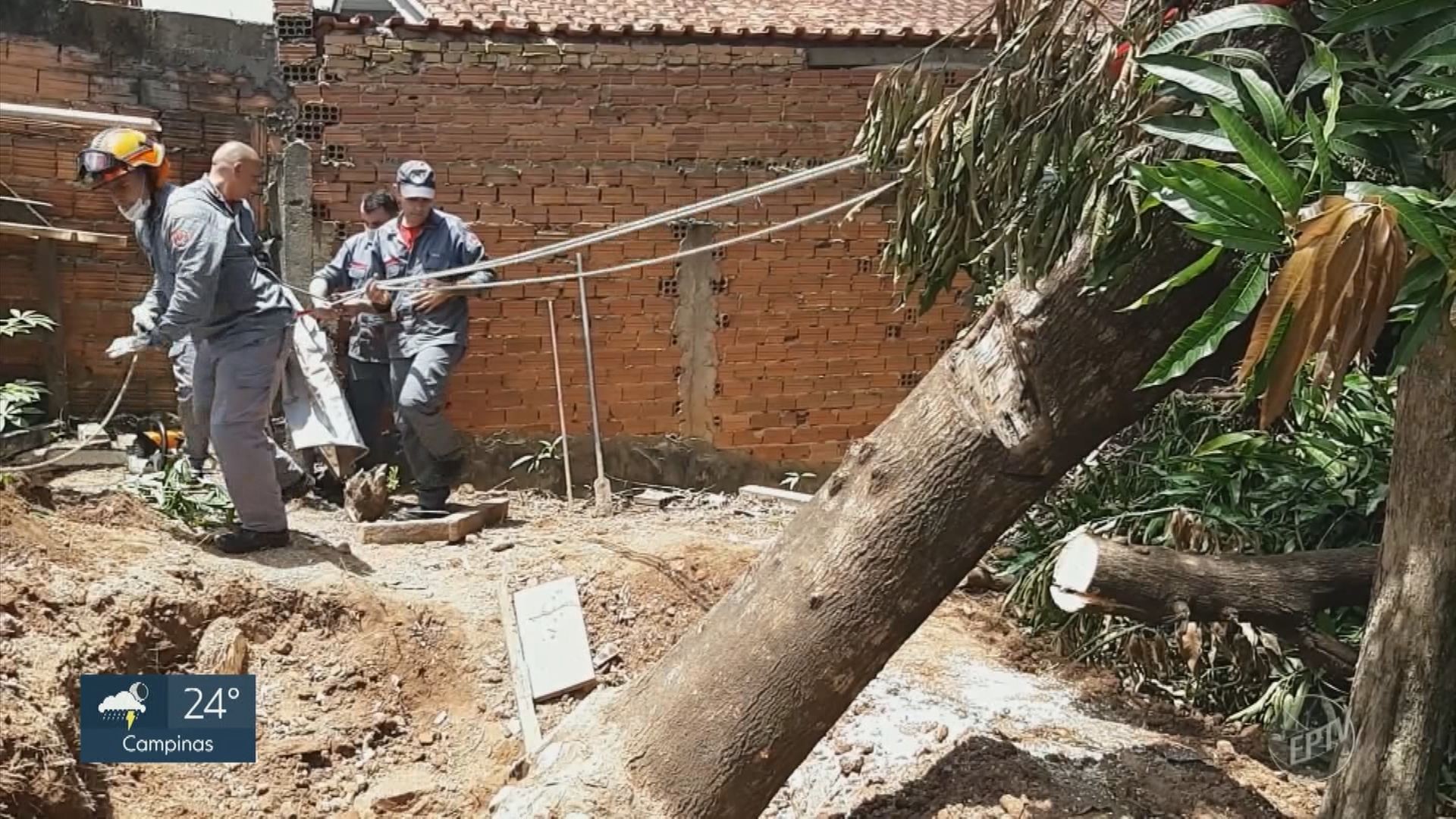 VÍDEOS: EPTV 2 Campinas desta sexta-feira, 11 de fevereiro de 2022