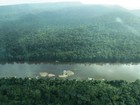 Pesquisa revela nível alto de mercúrio em índios de área Yanomami em RR