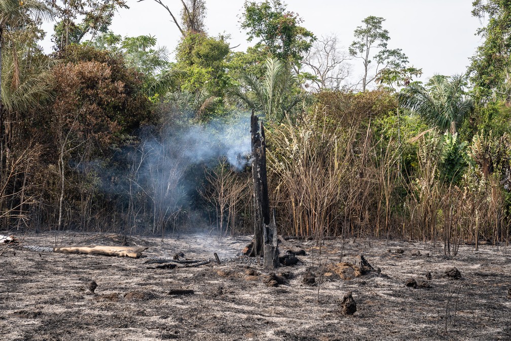 Foco de queimada em rodovia federal de Rondônia em 2019 — Foto: Fábio Tito/G1