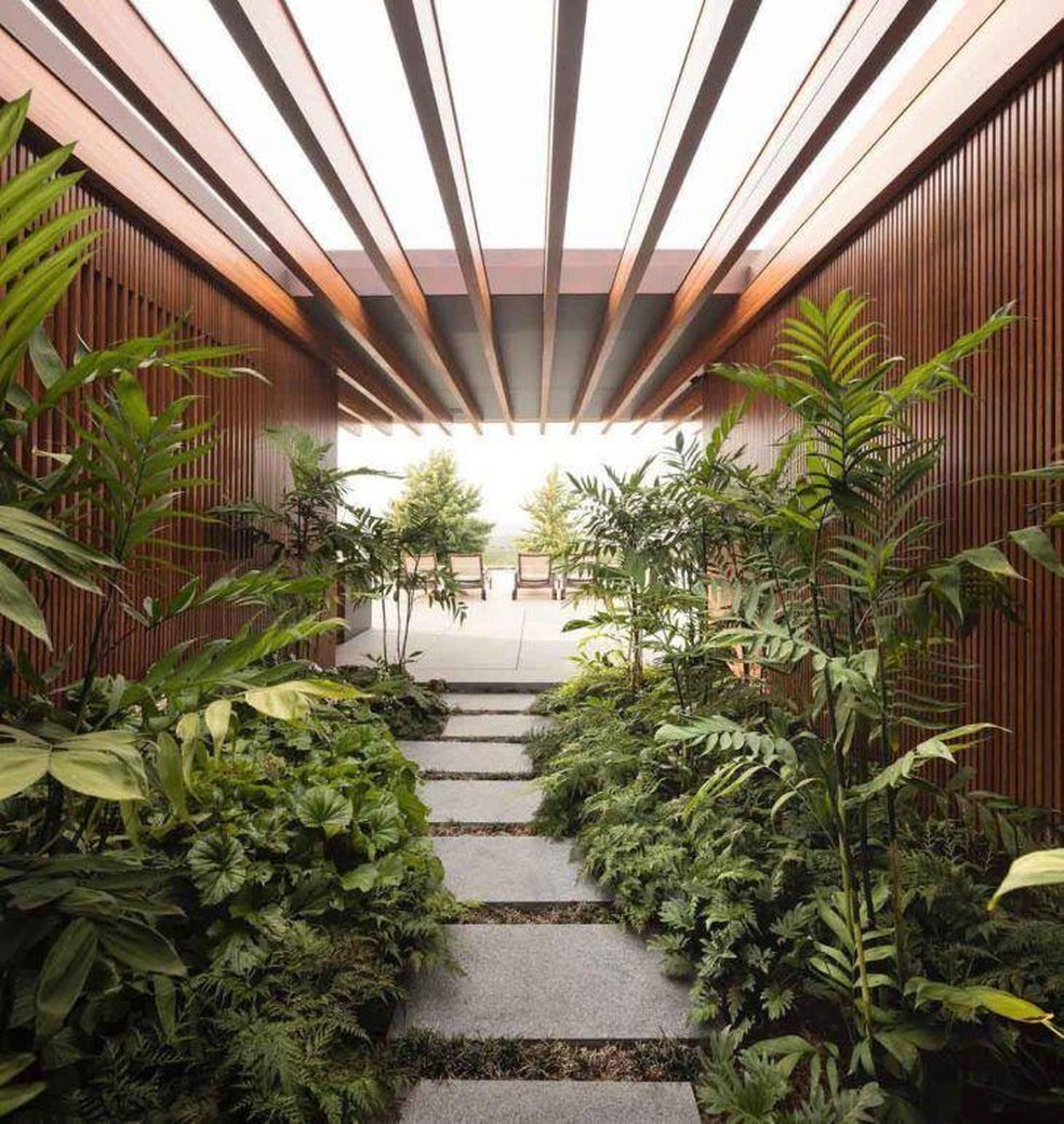 As plantas embelezam a casa e a luz natural é um convite para o aconchego  — Foto: Divulgação