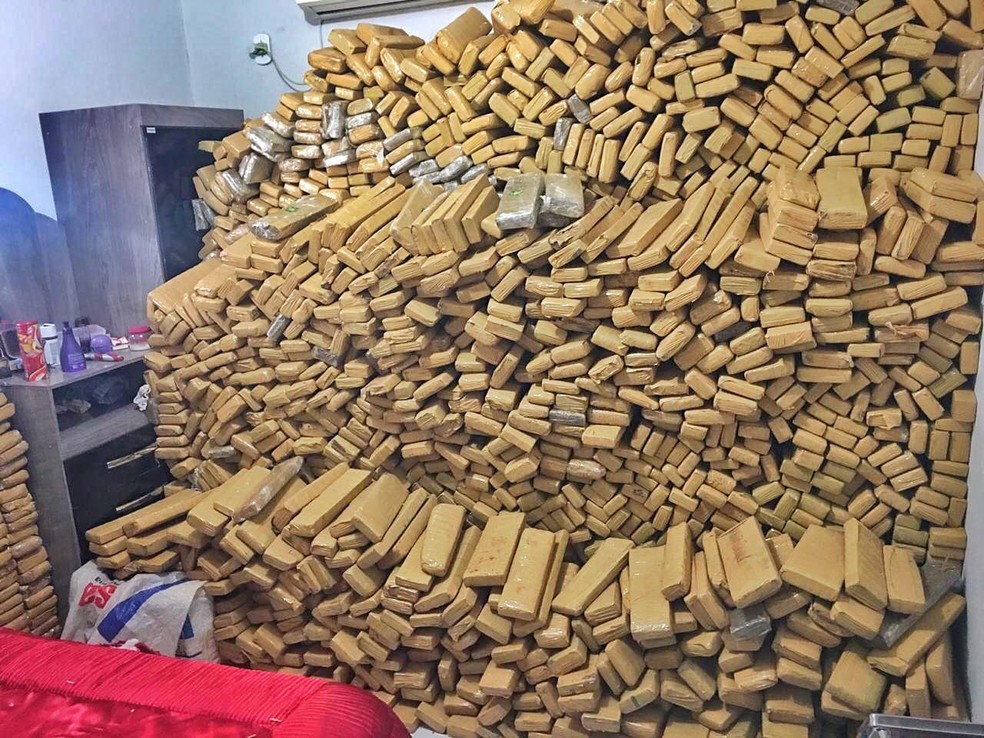 Ao todo, 4.492kg de maconha foram encontrados em fazenda em Amambai, na fronteira com o Paraguai — Foto: DOF/Divulgação