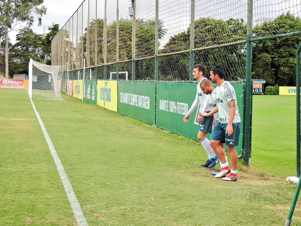 Dracena vai a campo; Diogo Barbosa e Moisés não treinam com bola no Palmeiras