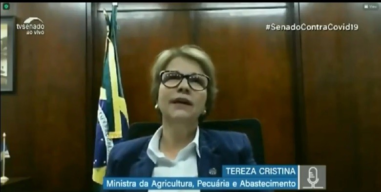 tereza-audiencia-senado (Foto: Reprodução/TV Senado)