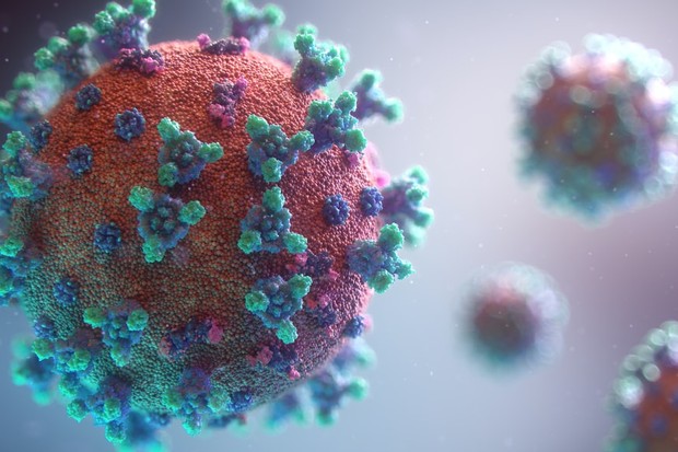 Cientistas do Instituto Karolinska apontam que células T de vacinados e infectados anteriormente reconhecem variante ômicron (Foto: Fusin Medical Animation/Unsplash)