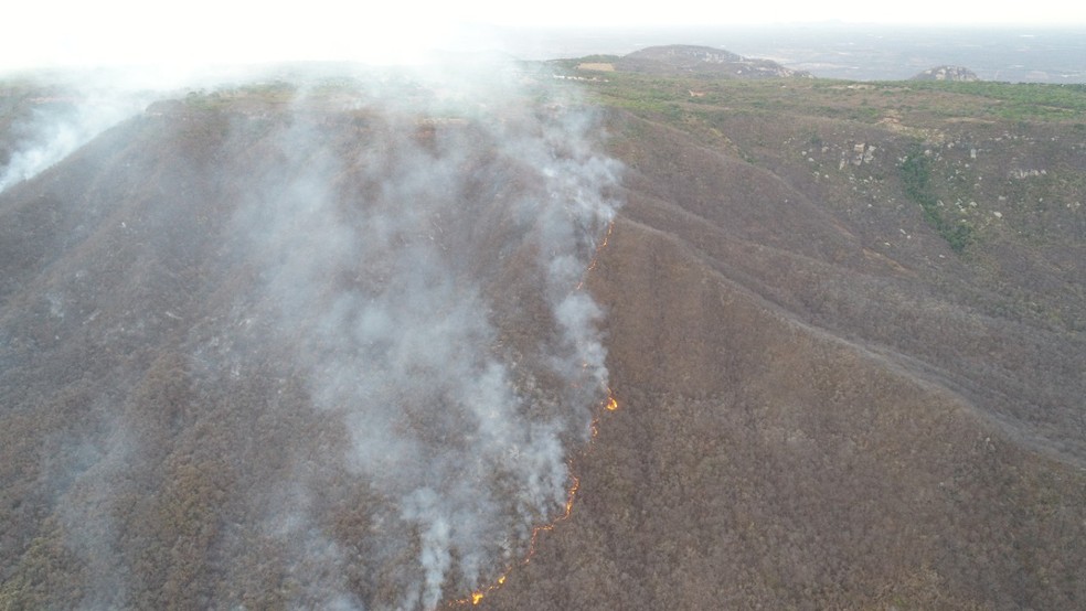 Incêndio florestal atinge mata na zona rural do município de Portalegre, no RN.  — Foto: Corpo de Bombeiros/Divulgação
