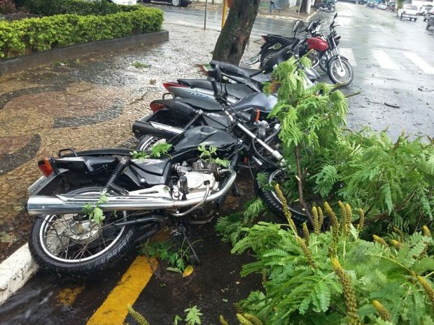 Chuva derrubou galhos e motos em Marília (Foto: Divulgação / Visão Notícias)