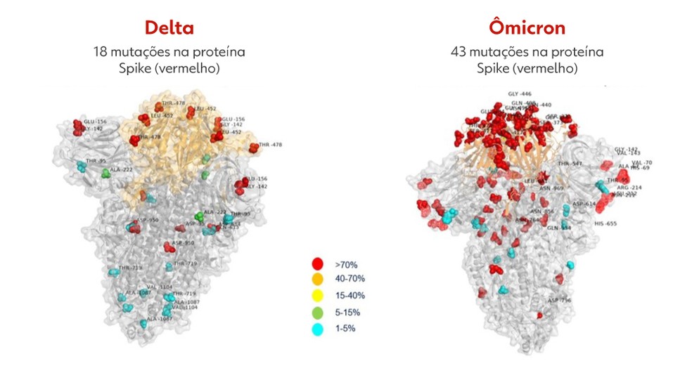 Primeira imagem da variante ômicron revela mais que o dobro de mutações que a delta — Foto: Cortesia Hospital Bambino Gesù de Roma