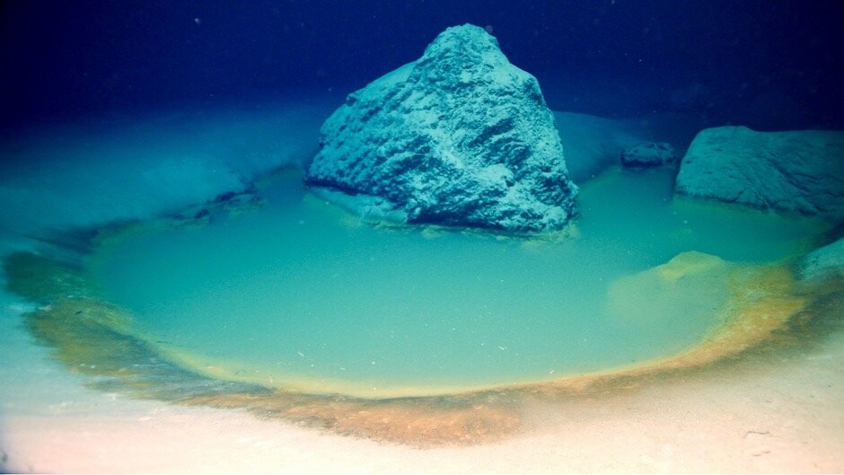 Piscina de salmoura ao norte do Mar Vermelho (Foto: Universidade de Miami)