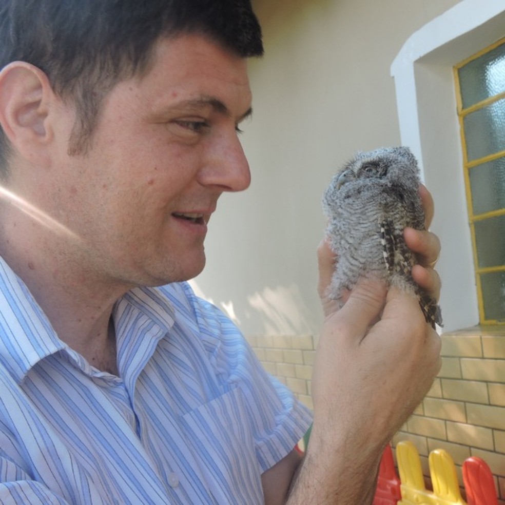  Roberto Pellizzer com uma corujinha-do-mato que caiu do ninho feito dentro do complexo São Julião. — Foto: Roberto Pellizzer/Arquivo pessoal