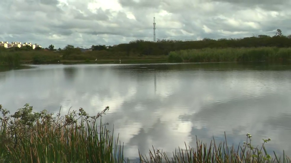 Sem saber nadar, homem morre afogado em lagoa na Bahia enquanto usava colchão inflável como boia — Foto: Reprodução/TV Bahia