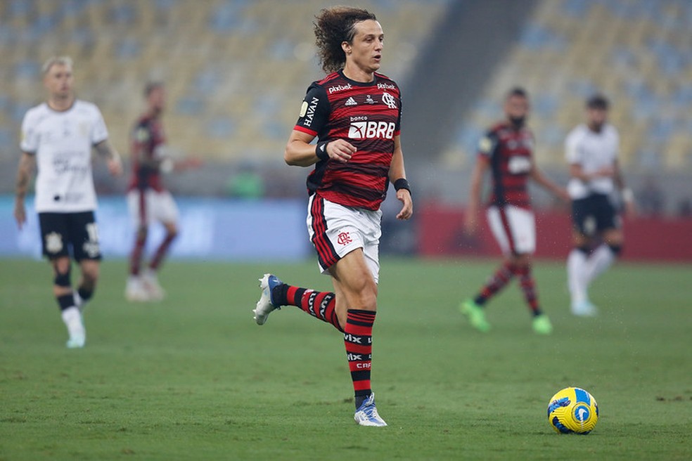 David Luiz em ação na final — Foto: Divulgação: Gilvan de Souza/Flamengo