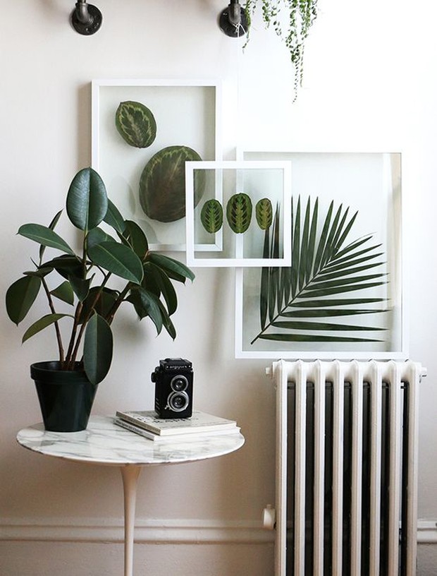Quadros com plantas na decoração (Foto: Pinterest/Reprodução)