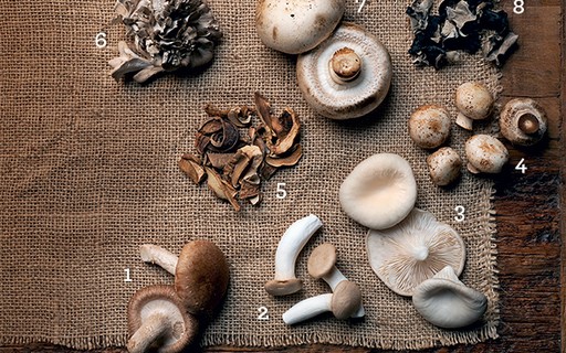 Kit Cogumelos (Paris/ Shitake/ Shimeji/ Portobello/ Porcini) - Ingredientes  Santa Vita