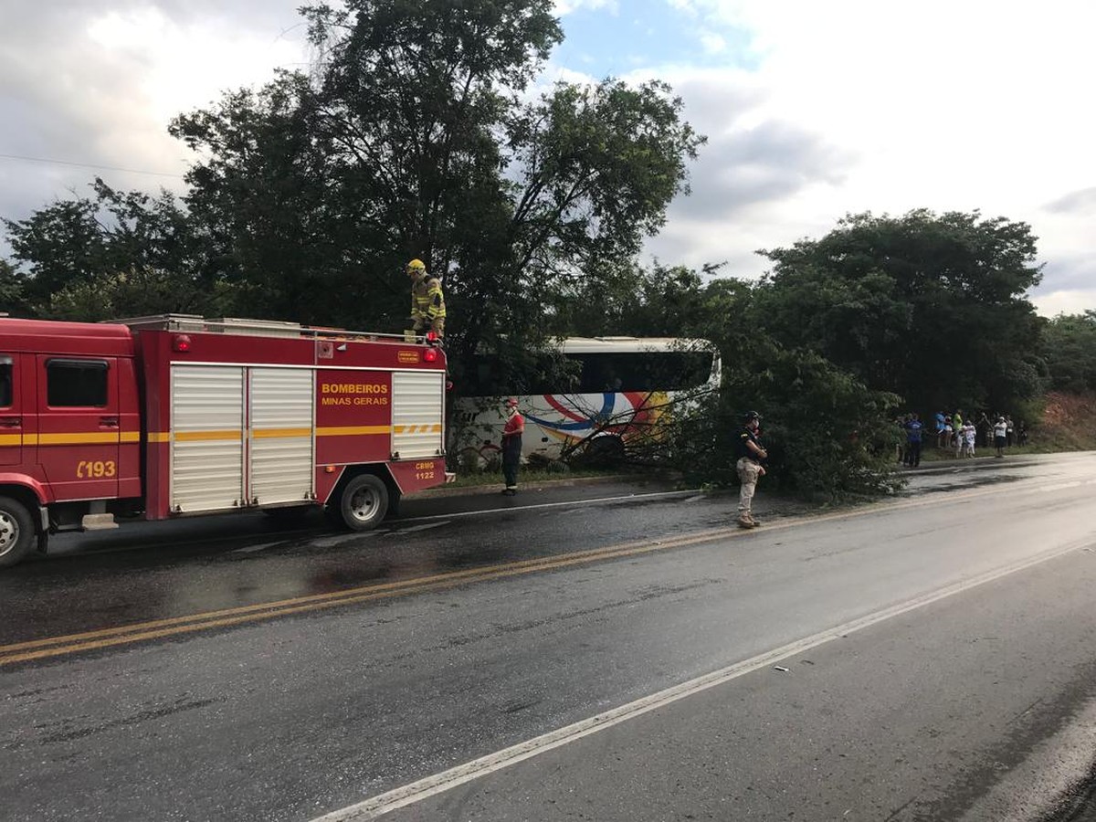 Ônibus sai da pista e bate em árvore na BR-251, em Francisco Sá