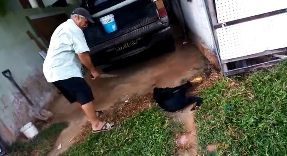 Homem é preso após tentar matar cachorro a pauladas em Maceió — Foto: Reprodução/Vídeo