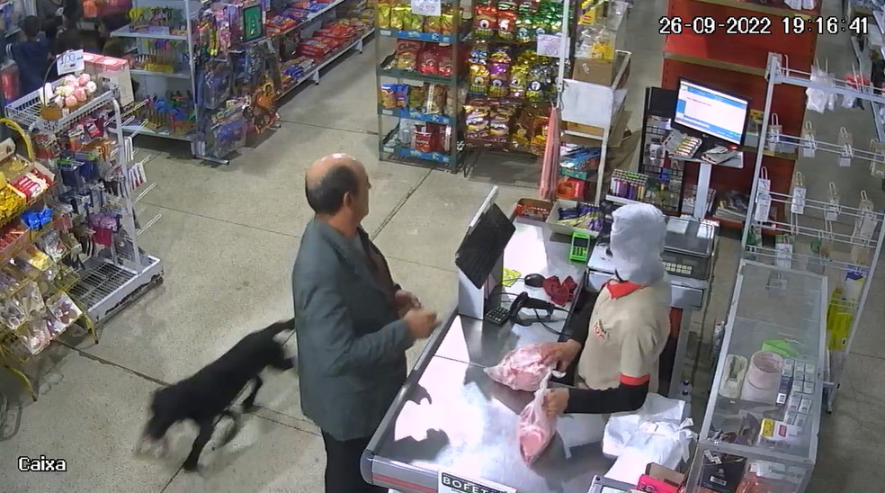 Cachorro é filmado 'furtando' saco de ração em mercado no interior de SP — Foto: Reprodução/Câmeras de segurança