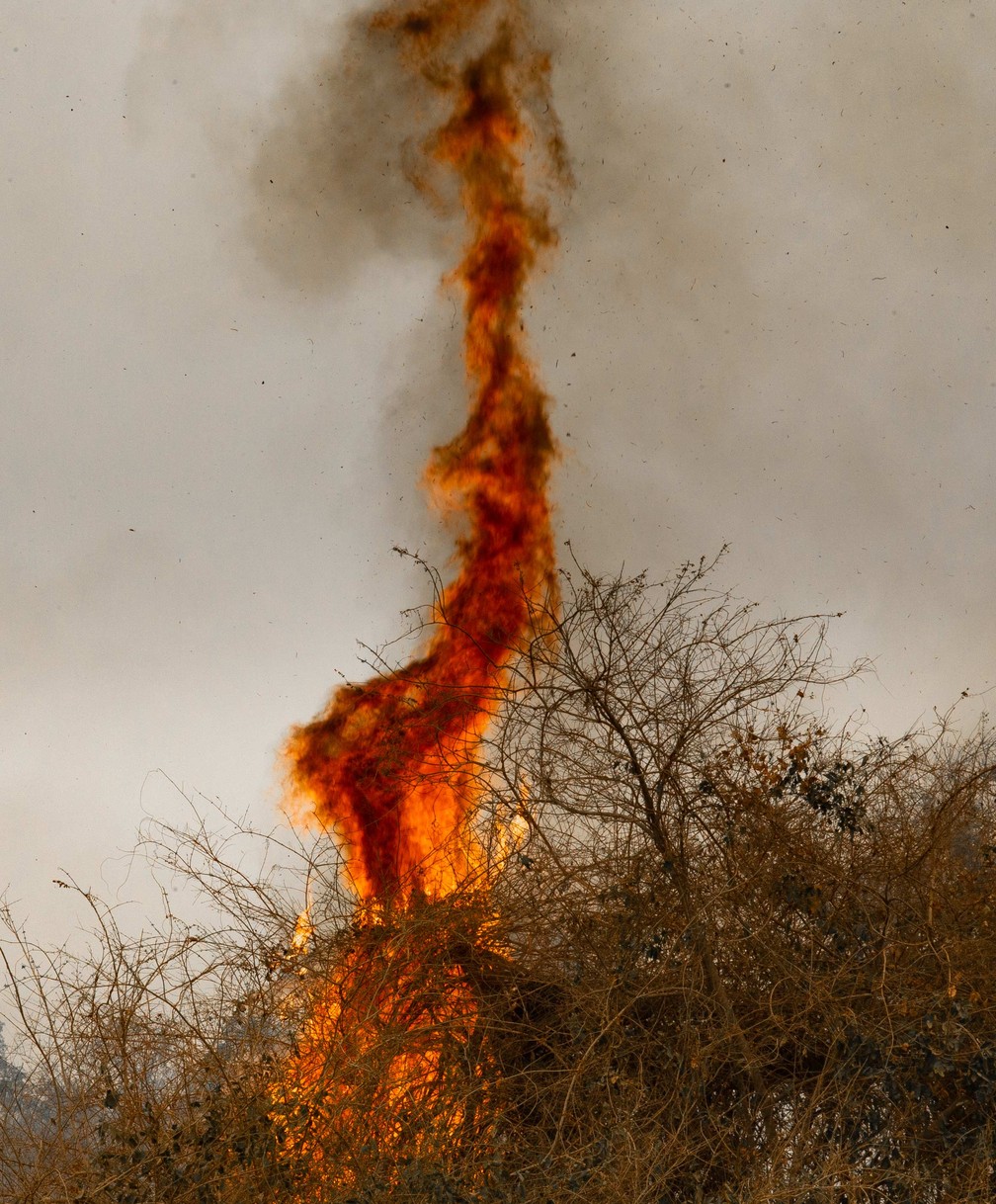 Fotgrafo registrou destruio das queimadas no Pantanal  Foto: Araqum Alcntara/Divulgao