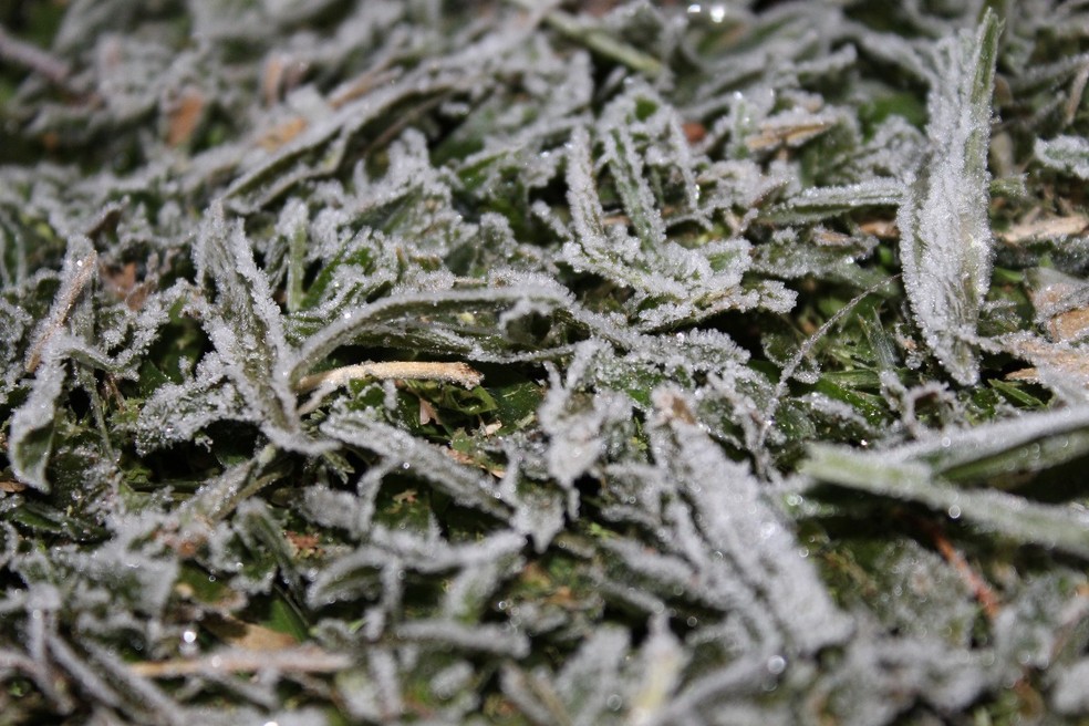 Geada nesta terça-feira em Urupema (Foto: Marleno Muniz Farias/ Prefeitura de Urupema/ Divulgação)